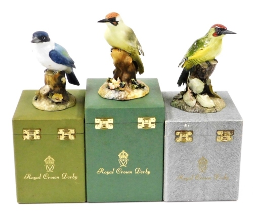 Three Royal Crown Derby boxed bird ornaments, to include green woodpecker, 15cm high, in matte finish, a glazed woodpecker, 15cm high, and a matte finish kingfisher, 13cm high. (3)