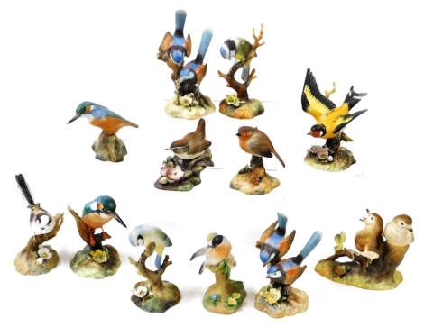 A group of Royal Crown Derby bird ornaments, to include robin, two fairy wrens, long tailed tit, wren, goldfinch, blue tit (second), bullfinch modelled by JT Jones, thrush chicks, blue tit, Sinclair's number 49/100, and kingfisher. (a quantity)