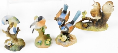A group of Royal Crown Derby bird ornaments, to include robin, two fairy wrens, long tailed tit, wren, goldfinch, blue tit (second), bullfinch modelled by JT Jones, thrush chicks, blue tit, Sinclair's number 49/100, and kingfisher. (a quantity) - 4