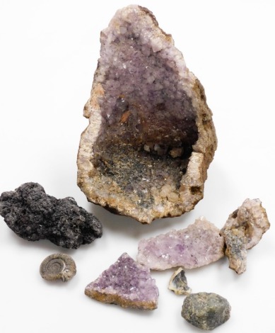 A group of fossils and crystals and amethyst geodes.