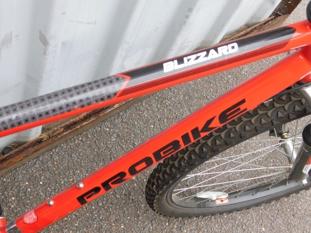 probike blizzard mountain bike