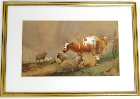 20thC School. Cattle and sheep watercolour, indistinctly signed, dated 19?, 19cm x 33cm, framed and glazed.