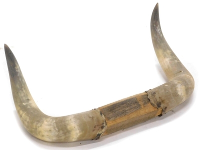 Two pairs of cow or buffalo horns, 83cm, 54cm wide respectively. - 2