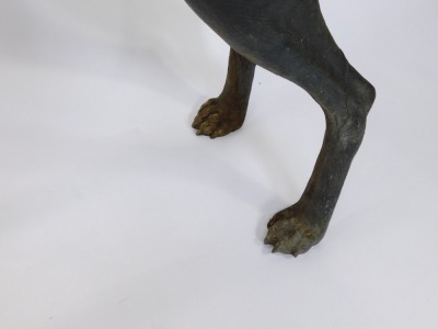 A large spelter figure of a greyhound, modelled in standing pose, head to the left, 95cm high, approximately 106cm wide. - 4