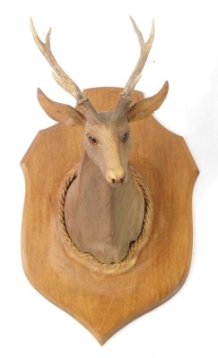 A carved wooden bust of a stag, with three pronged antlers, shield mounted, 66cm high.