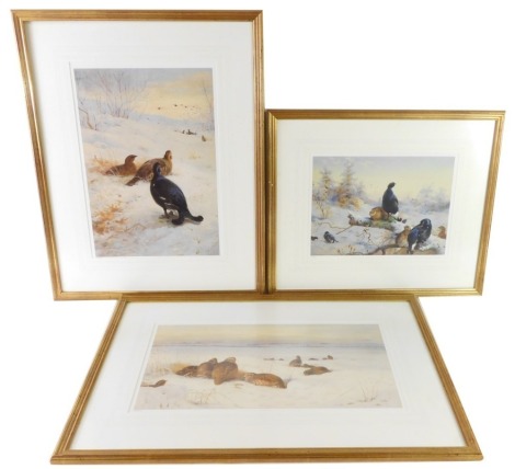 After Archibald Thorburn FZS (Scottish 1860-1935). Three winter landscapes, one with grouse, the other two with black grouse, limited edition 833/850, 30cm x 57cm, 50cm x 34cm, and 29cm x 37cm. (3)