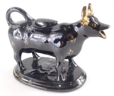 A 19thC Staffordshire black glazed cow creamer, decorated with gilt horns, etc., on an oval base, 19cm wide.