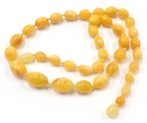 A butterscotch amber graduated beaded necklace, the largest bead 1.5cm wide, the smallest 0.8cm, 45cm long overall, 15.9g all in.