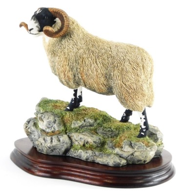 A Border Fine Arts figure of Blackie Tup, BO354, signed J.W.Ayres, number 274/1750, on a hardwood base, 23cm high.