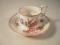 A Meissen cabinet cup and saucer