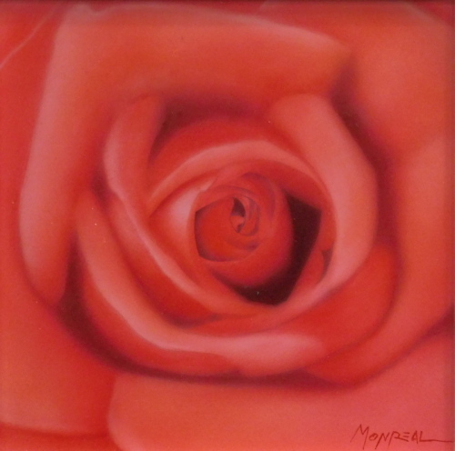 •Pasu Yust de Monreal (b.1958) Valencia. Rose, oil on panel, signed, 20cm x 20cm.