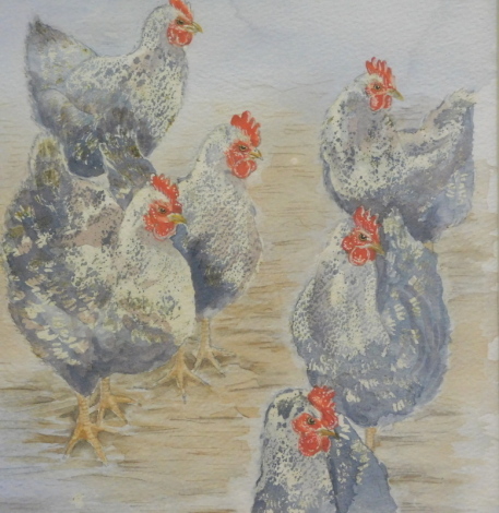 •Christine Edison (20thC). Chicken study, watercolour, 20cm x 20cm, Peter Scott (1909-1989) Widgeon, artist signed limited edition print 27/350, two booklets The Tower, Lincoln Castle and part of the Western Walls, The Castle (4).