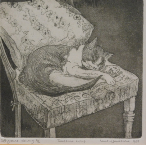 •Nora Lambourne (fl.1988). Tomasuia asleep, artist signed, limited edition, soft ground etching 4/20, 15cm x 15cm.