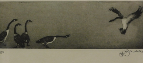 •Julian Williams (b.1953). Geese, artist signed limited edition engraving, 118/150, indistinctly signed, 12cm x 37cm.