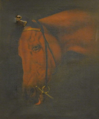 •J.C. Fox (19thC School). Horse head profile, oil on canvas, signed and dated 1880, 63cm x 47cm.