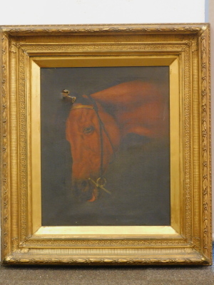 •J.C. Fox (19thC School). Horse head profile, oil on canvas, signed and dated 1880, 63cm x 47cm. - 2