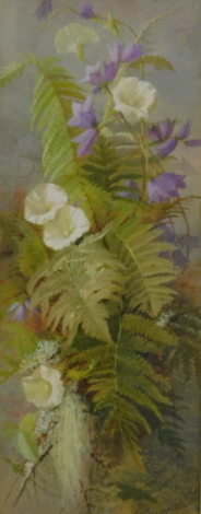 •Theresa Maria Hegg (1829-1911). Convolbulous Fern and Bell Flowers, watercolour, signed, 25cm x 62cm.