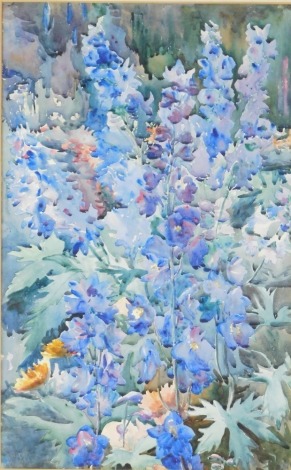 20thC School. Blue garden flowers, watercolour, 49cm x 30cm, framed and glazed.