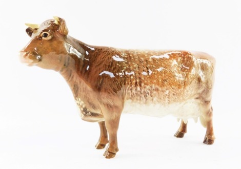 A Beswick Dairy Shorthorn cow, CH Eton Wild Eyes 91st, model 1510, 12cm high.