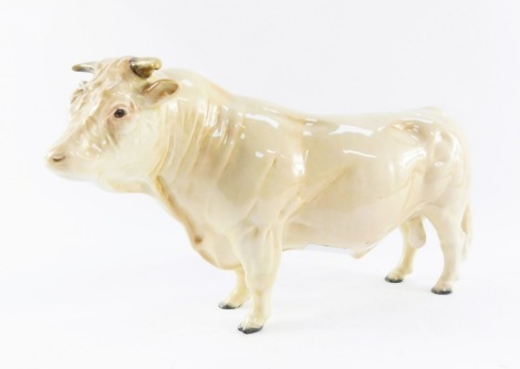 A Beswick Charolais bull, model 2463B, 13cm high.