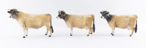 Three Beswick Jersey bull and cows, CH Newton Tinkle, comprising two cows, 11cm high, and a bull, 12cm high.