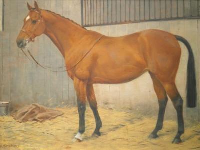 Frances Mabel Hollams (1877-1963). Bay horse in stable
