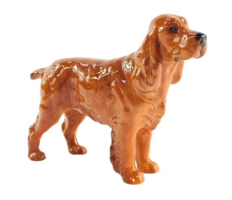 A Beswick pottery figure of a Cocker Spaniel, printed marks.