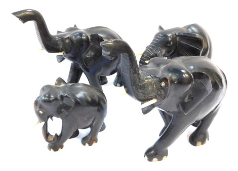 Four ebony models of elephants, two with trunks raised, largest 24cm wide.