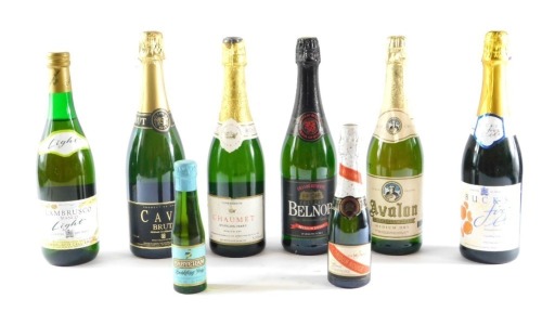 Champagne and other alcohol, comprising Lambrusco, Bucks Fizz, Avalon Sparkling Perry, Belnor, Cava Brut, Chaumet, miniature Babycham and a Cordon Rouge champagne. (8)