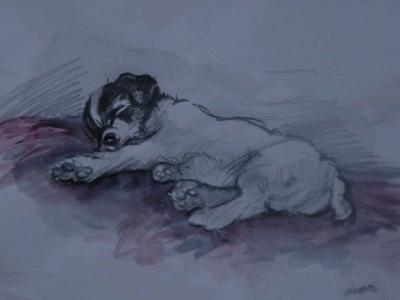 Mac (20thC). Study of a puppy