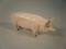 A Beswick pig, underglaze C H Ward Champion Boar 1953