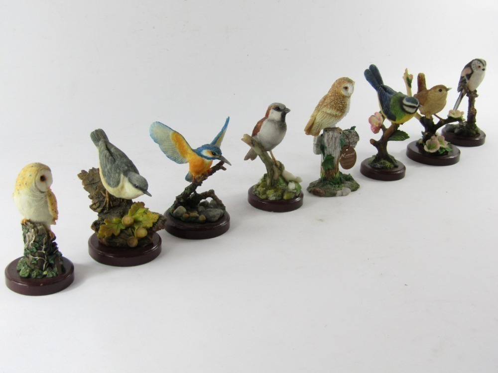 A group of Atlas Edition British Bird Collection Birds, comprising
