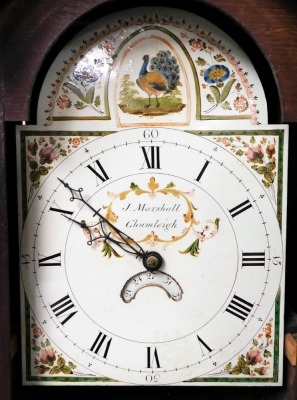 A Georgian oak cased long cased clock by J Marshall of Chumleigh, the enamel break arch dial painted with a peacock and flowers, chapter ring bearing Roman numerals, date aperture, chain wound with bell strike, the case hood with gilt ball finials, cylind - 3