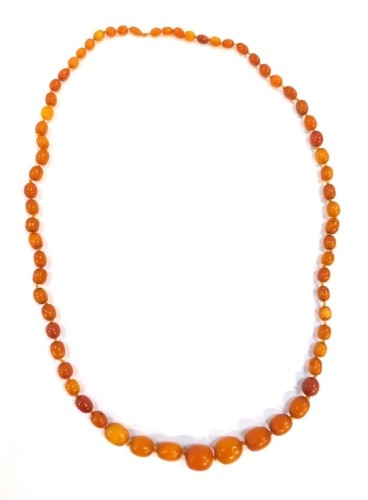 A butterscotch amber necklace, with graduated beads, the biggest bead 3cm, smallest bead 1cm, approximately 66 beads on a knotted string strand, 130cm long overall and 133g all in.