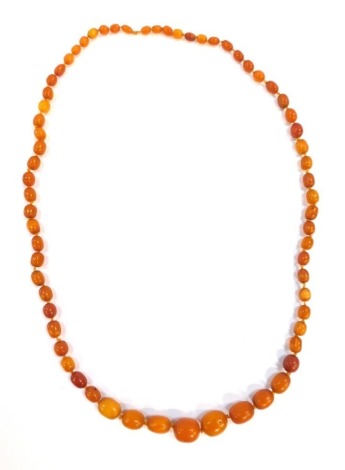 A butterscotch amber necklace, with graduated beads, the biggest bead 3cm, smallest bead 1cm, approximately 66 beads on a knotted string strand, 130cm long overall and 133g all in.