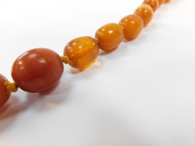 A butterscotch amber necklace, with graduated beads, the biggest bead 3cm, smallest bead 1cm, approximately 66 beads on a knotted string strand, 130cm long overall and 133g all in. - 3