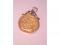 A half sovereign in a pendant