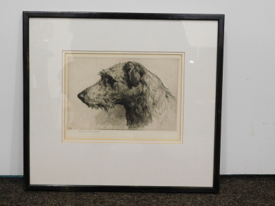 Herbert Thomas Dicksee (1862-1942). Scottish Deerhound, artist signed etching, 17.5cm x 24cm Label verso The Horner Galleries Sheffield. - 2