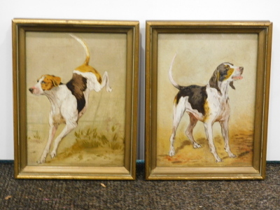 19thC/20thC British School. Hounds, oil on canvas - pair, 19.5cm x 14cm. - 2