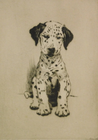Cecil Aldin (1870-1935). Dalmation puppy, artist signed and numbered etching, 10/50, 15cm x 10cm.