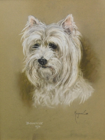 •Marjorie Cox (1915-2003). Bonnie 1972, Highland Terrier, pastel, signed and titled, 46cm x 35cm.
