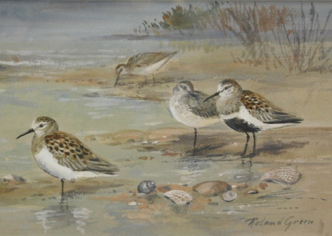 •Roland Green (1890-1972). Sandpipers on a shoreline, watercolour, signed, 15cm x 25cm.