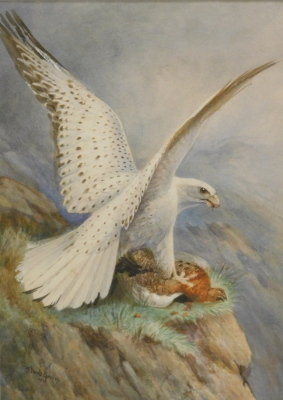 •Roland Green (1890-1972). Bird of prey devouring partridge, watercolour, signed and dated 1920, 36cm x 24cm.
