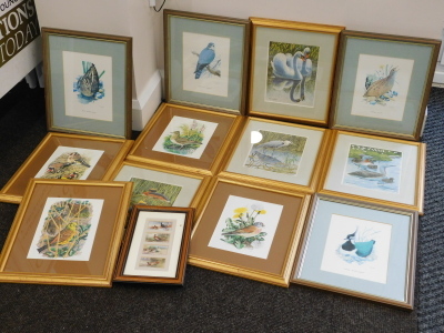 Gilmore. Swans, print, 22cm x 16cm, various others, after Tunnicliffe, framed set of four Players cigarette cards, other wildlife bird prints after Pledger, etc. (a quantity) - 2