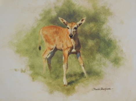 •David Shepherd (1931-2017). Young Eland, artist signed print, F.H.H. watermark, 19cm x 26cm, Summertime, artist signed limited edition print 548/1000 and the Home for Donkeys (3)