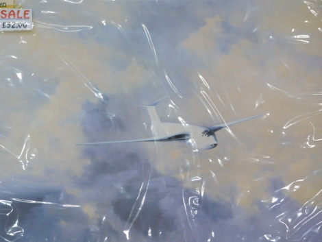 •David Shepherd (1931-2017). Afternoon Flight, Victor, artist signed limited edition print, 117/850, 36cm x 55cm.