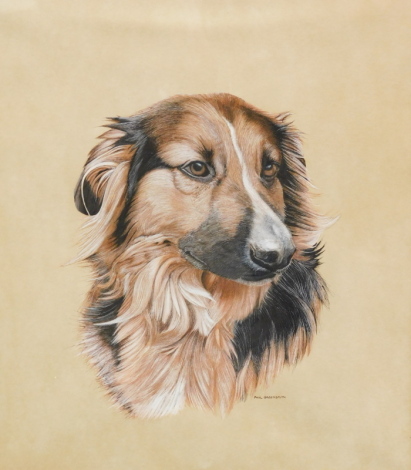 •Paul Greensmith (fl.1978). Dog portrait, mixed media, signed, 29cm x 25cm, hand annotation verso.