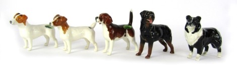 Five Beswick dog ornaments, comprising two Jack Russells, Rottweiler, Collie, and a Beagle, tallest 8cm high, all boxed.