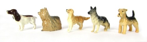 Five Beswick dog ornaments, comprising a Retriever, Yorkshire Terrier, Cocker Spaniel (brown), Alsatian, and a Lakeland Terrier, tallest 8cm high, boxed.