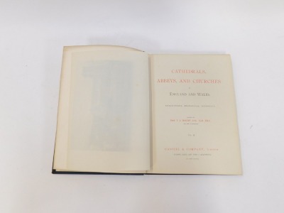 Bonney (TG) Cathedrals, Abbeys and Churches of England and Wales, six volumes, in blue cloth and gilt tooled bindings, published by Cassell & Company, London. (6) - 2